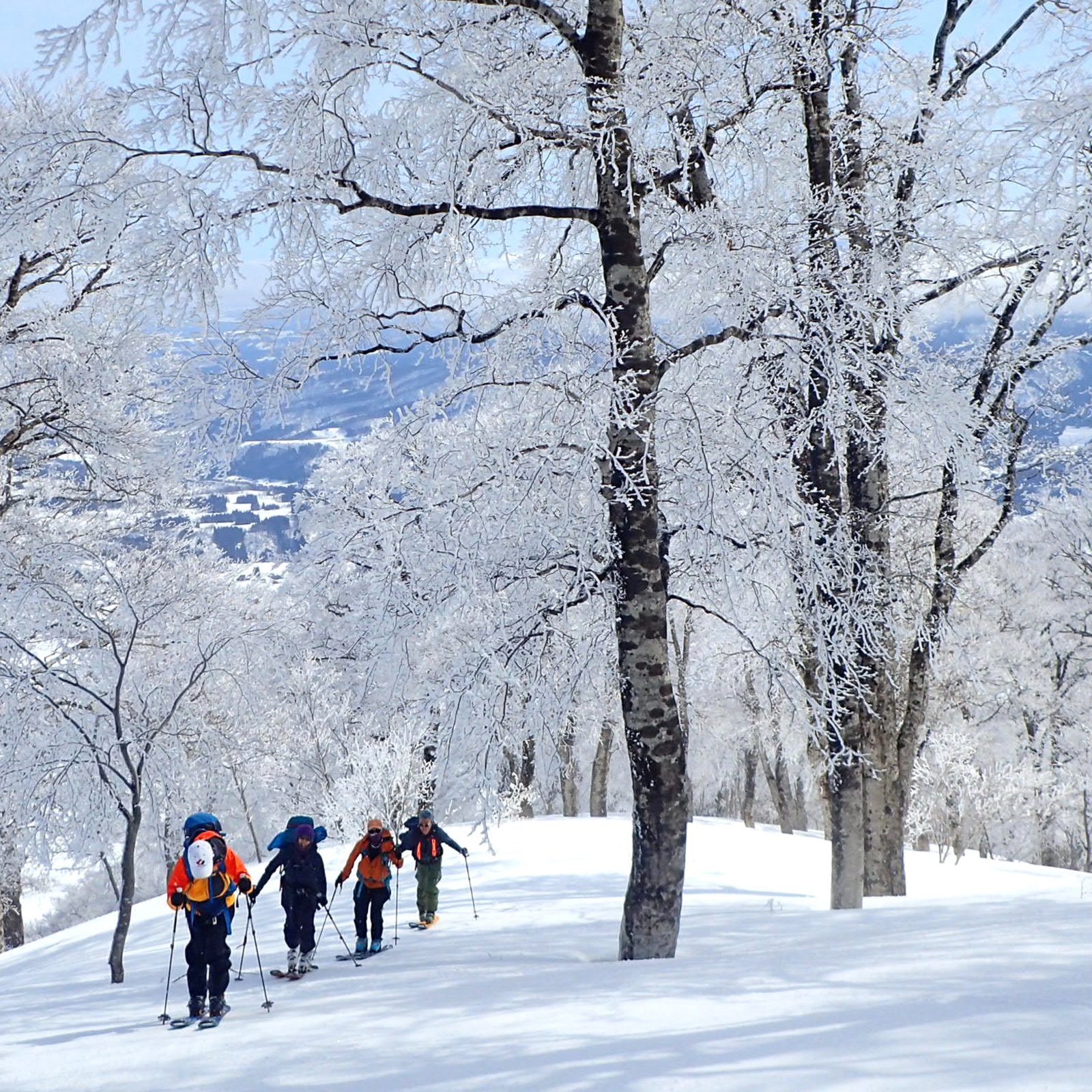 バックカントリーツアーズ - パワーゾーン