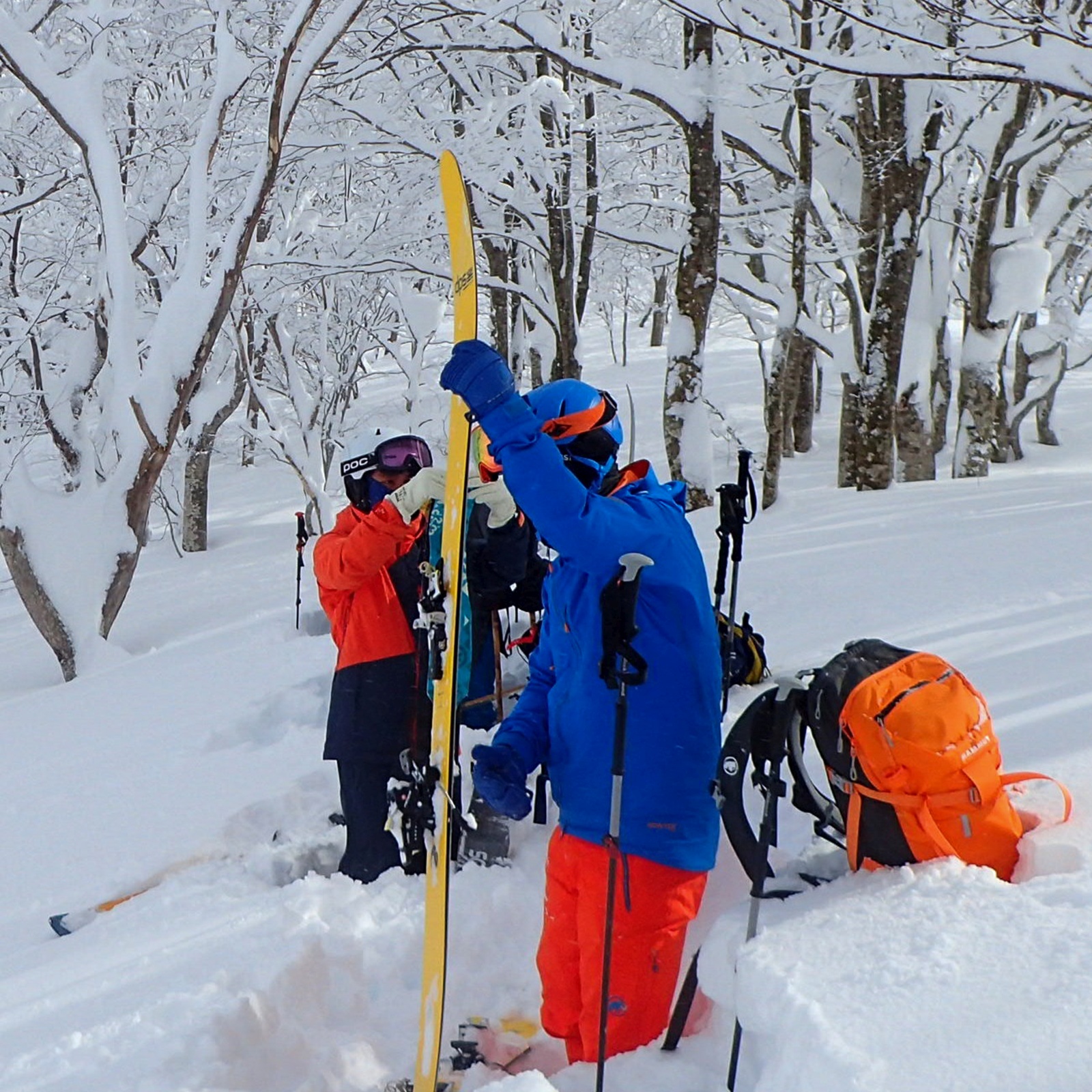 雪山の稜線を歩くツアーの一行