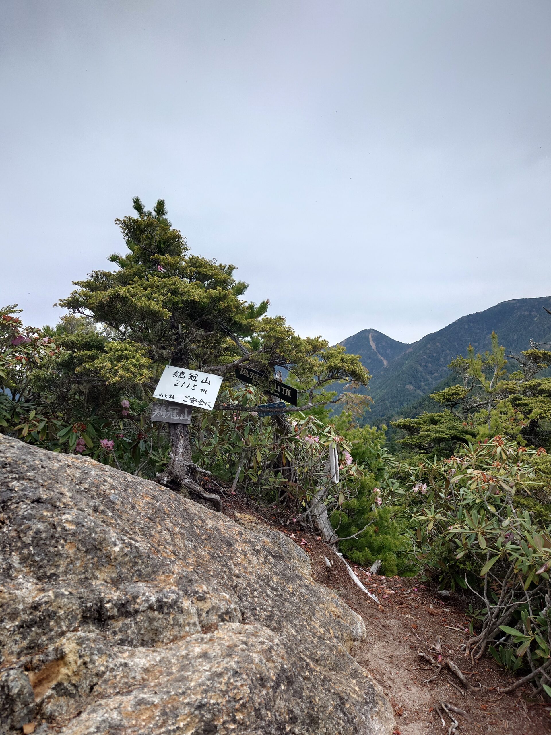 20230606_092541-scaled.jpg